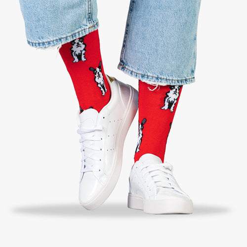 Bulldog Socks