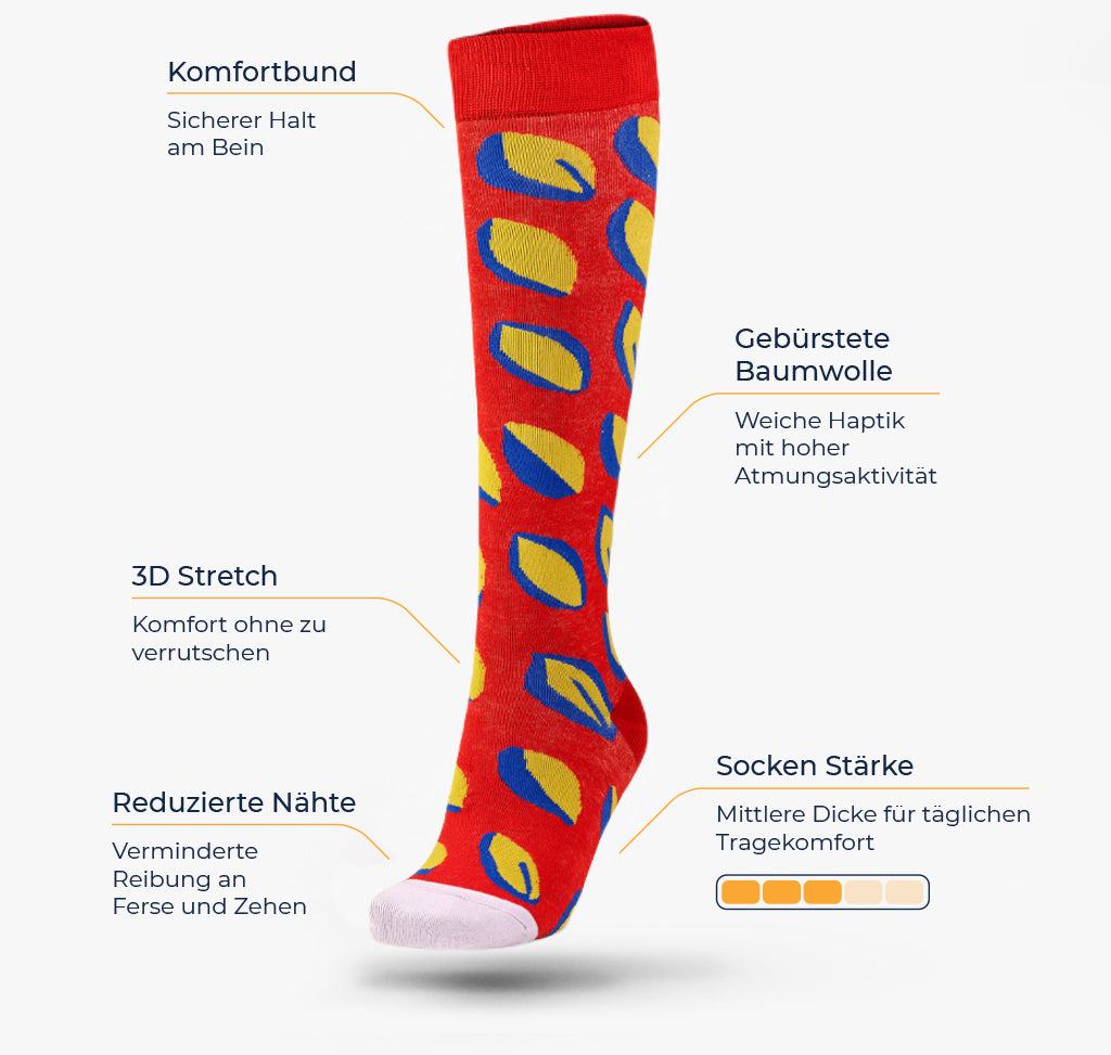 Info Grafik Zitronen Kniesocken
