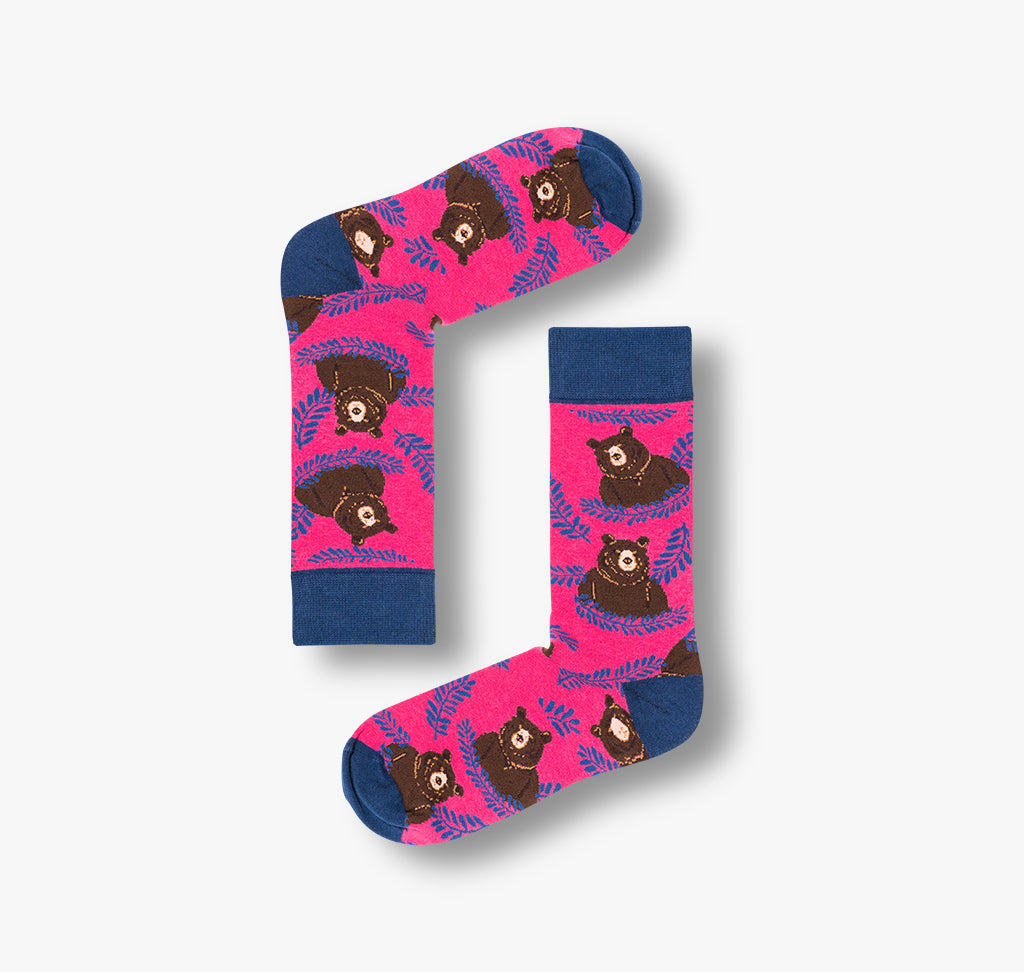 Zoo Edition Box