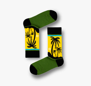 Waikiki Socks